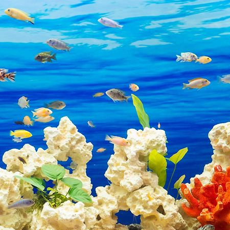 Aquaboutique Wellness&Spa Vietri Εξωτερικό φωτογραφία